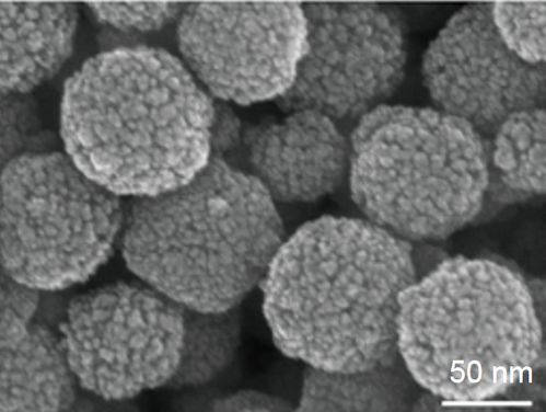先进纳米材料的奇妙世界 从氧化钼纳米线到石墨烯复合材料的探索