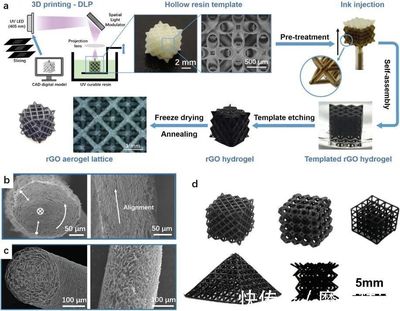 Adv. Funct. Mater.: 3D打印模板引导组装超轻石墨烯多级结构