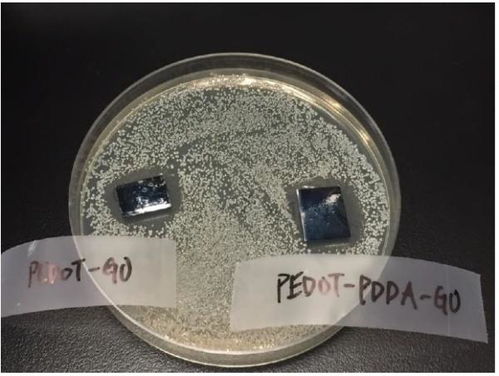 接地气系列之卅五 石墨烯抗菌材料的奥秘与未来